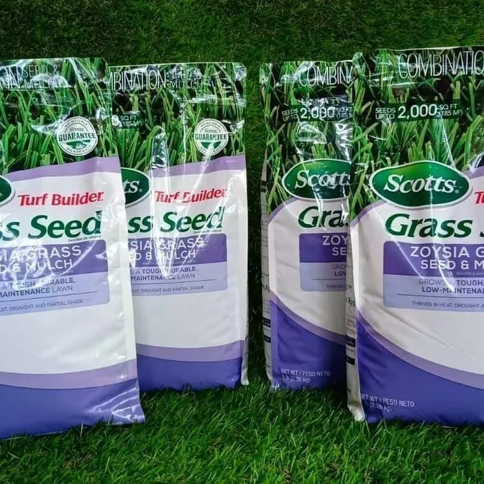 benih bibit rumput jepang
